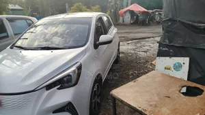New Changan BenBen 2023 White