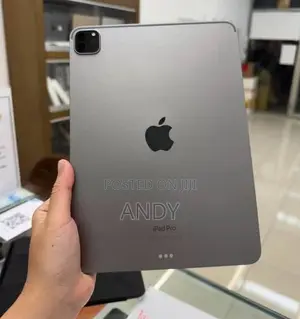 New Apple iPad Pro 11 (2022) 256 GB Gray