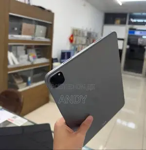 New Apple iPad Pro 11 (2022) 256 GB Gray