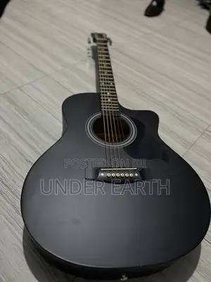 Siltron Guitar