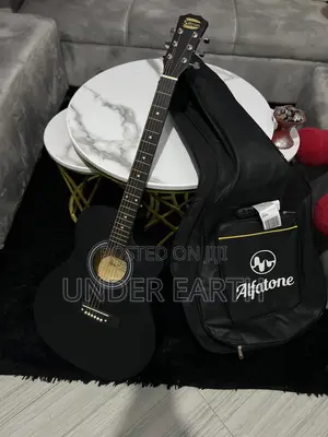Siltron Guitar