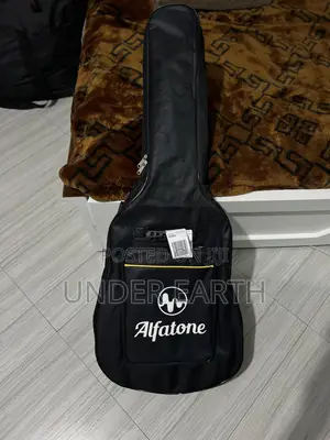 Siltron Guitar