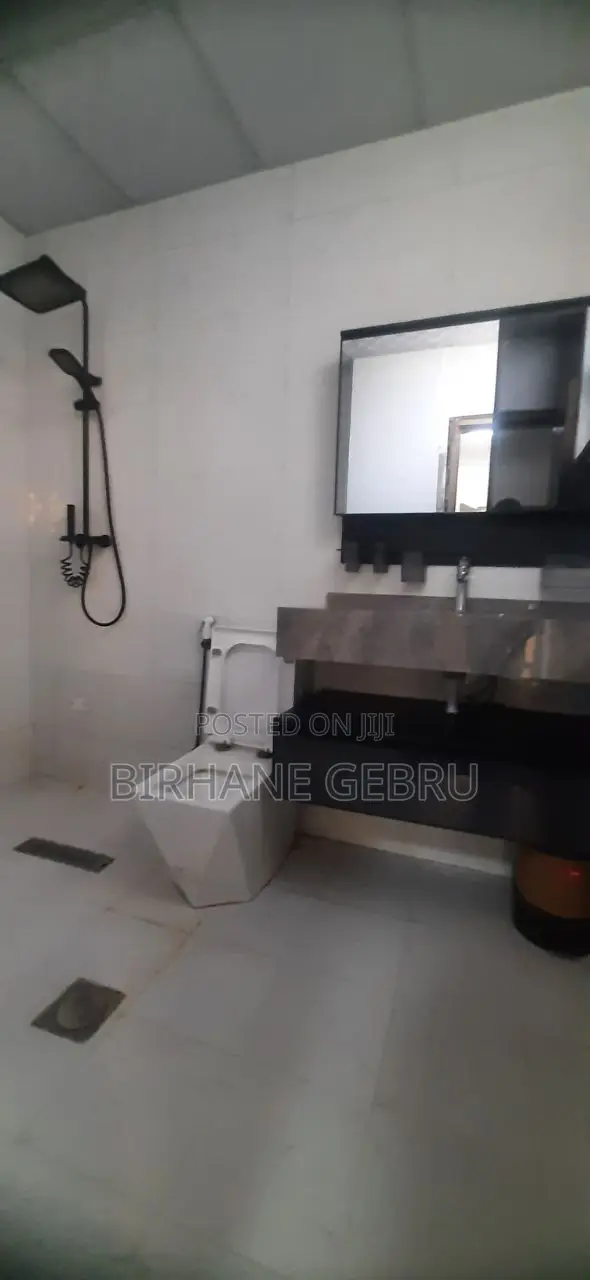 Furnished 3bdrm Apartment in Luxury Ferinshed, Bole for rent