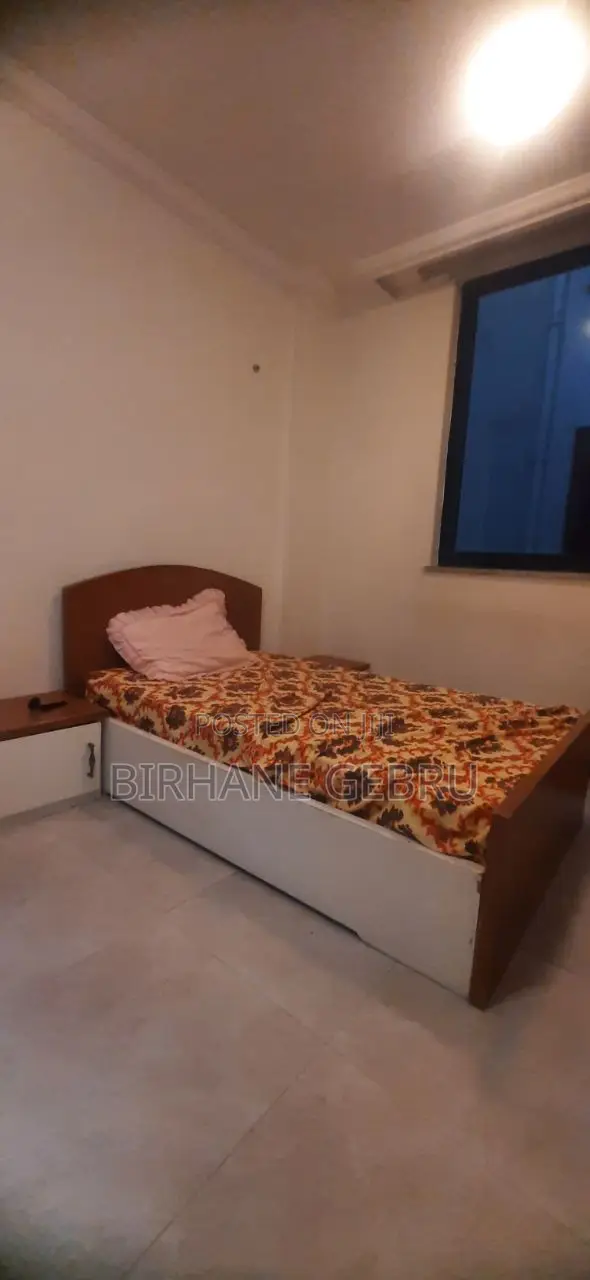 Furnished 3bdrm Apartment in Luxury Ferinshed, Bole for rent