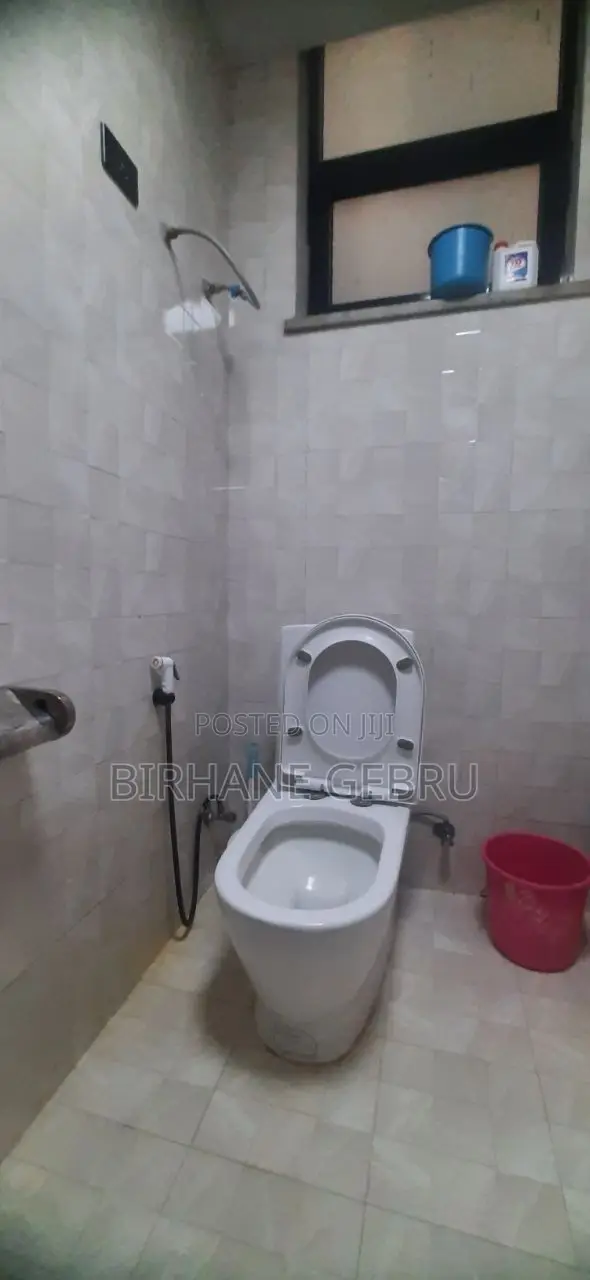 Furnished 3bdrm Apartment in Luxury Ferinshed, Bole for rent