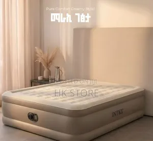 Intex Inflatable Mattress