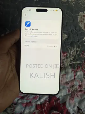 Apple iPhone 15 Pro Max 256 GB Silver