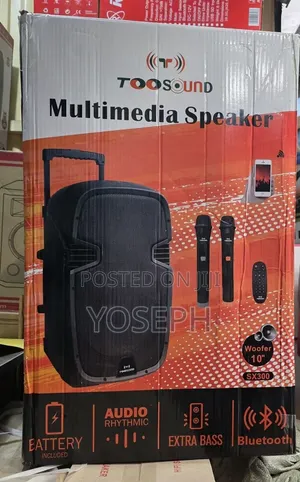 Toosoun Original Speaker With 2 Mic