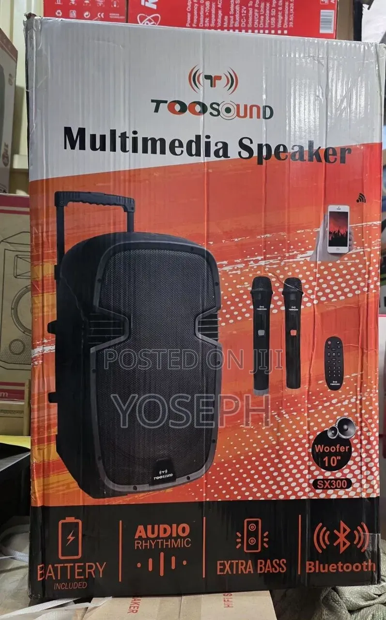 Toosoun Original Speaker With 2 Mic