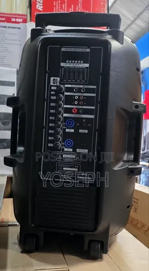 Toosoun Original Speaker With 2 Mic