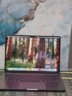New Laptop Apple MacBook 16GB Apple M4 SSD 512GB