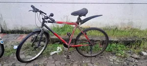 Red Viva Bike
