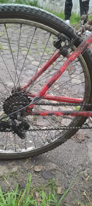Red Viva Bike