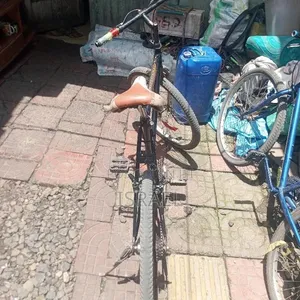 Used Phoenix Bike