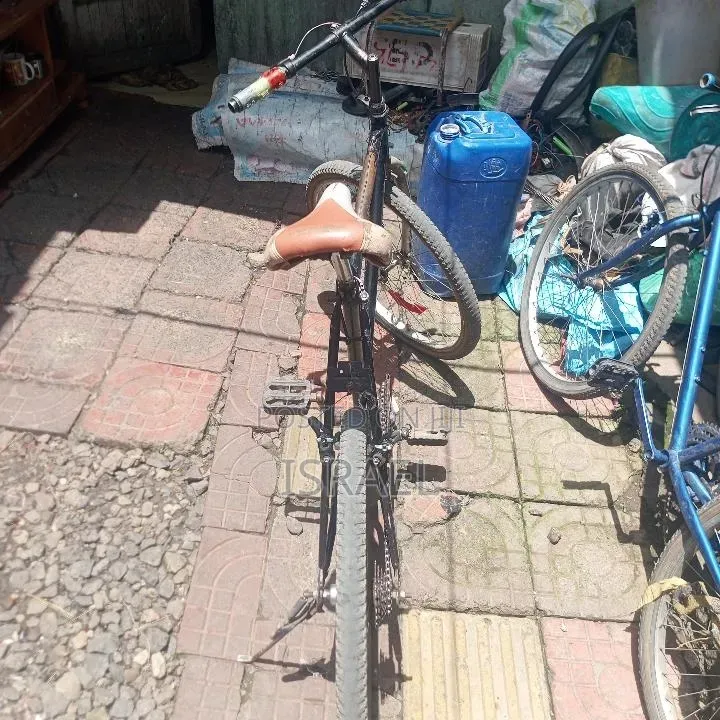 Used Phoenix Bike