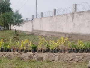 መጋዘን ሽያጭ at ሸገር ከተማ:ገላን =>ጠቅላላ ስፋት=4000