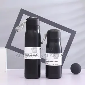Stainless Steel Water Bottle
