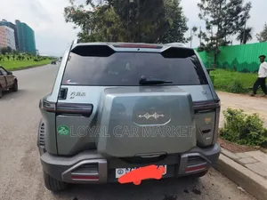 BYD Leopard 3 2025 Gray