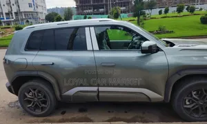 BYD Leopard 3 2025 Gray