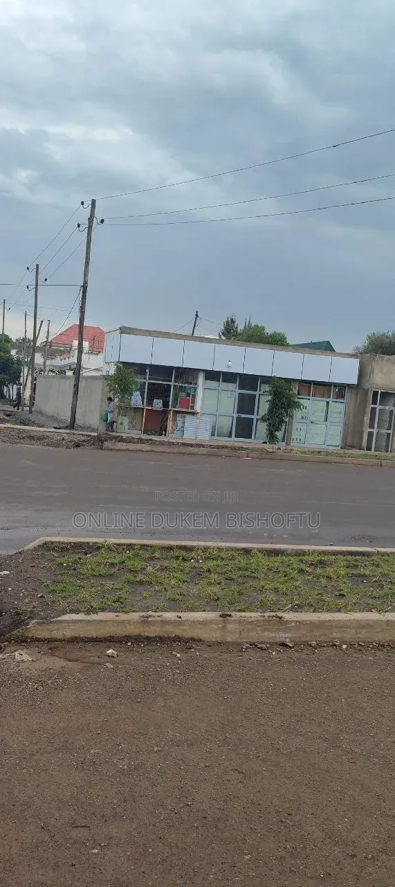 Furnished 8bdrm House in Bishoftu Dukem, Oromia-Finfinne for sale