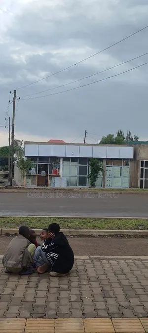 Furnished 8bdrm House in Bishoftu Dukem, Oromia-Finfinne for sale