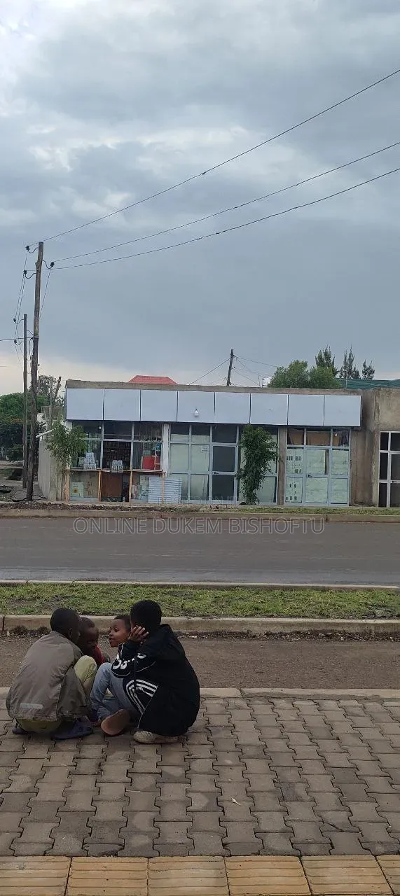 Furnished 8bdrm House in Bishoftu Dukem, Oromia-Finfinne for sale