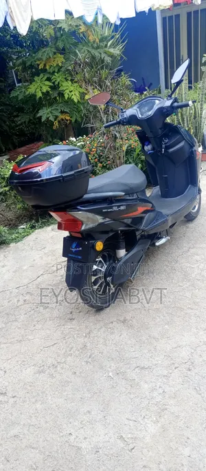 New Indian 2025 Black