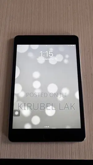 Apple iPad mini 2 16 GB Gray