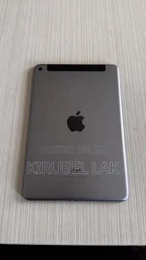 Apple iPad mini 2 16 GB Gray