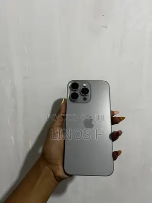 Apple iPhone 15 Pro Max 256 GB Silver
