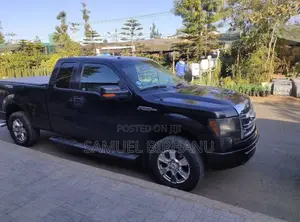 Ford F-150 Limited 2013 Blue