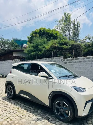 BYD Seagull 2024 Ivory