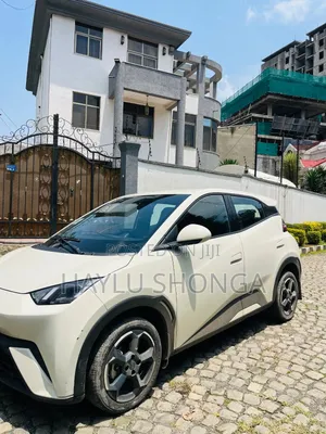 BYD Seagull 2024 Ivory