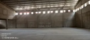 የሚሸጥ መጋዝን ቡልቡላ አስቸኳይ ሽያጭ