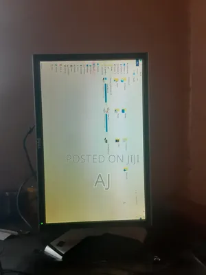 22 Inch Dell Monitor