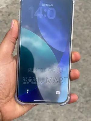 Apple iPhone 15 Pro Max 256 GB