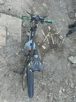Bicycle Bike