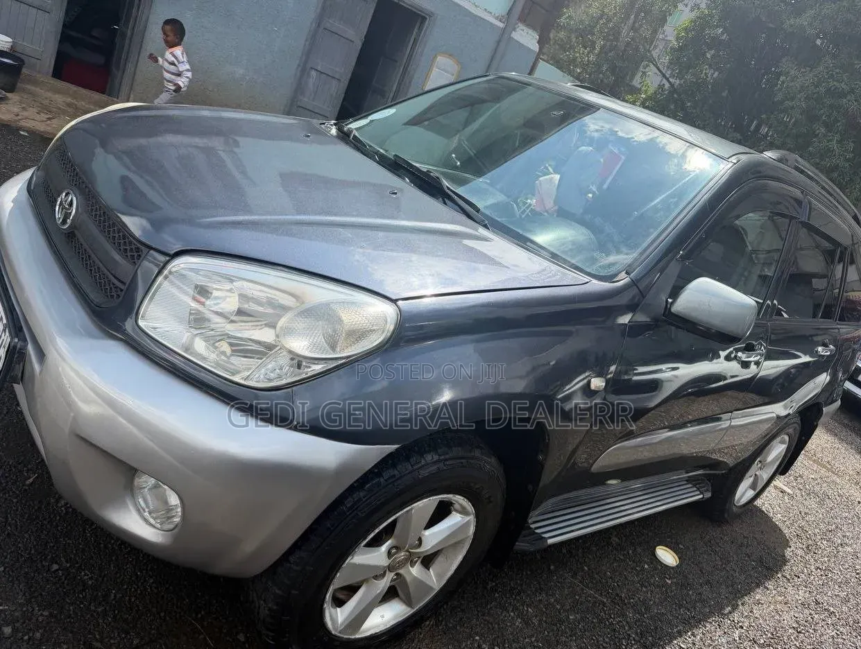 Toyota RAV4 2005 Gray