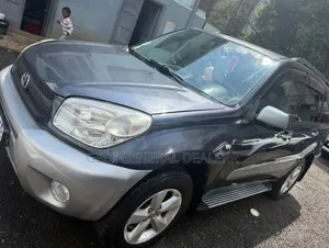 Toyota RAV4 2005 Gray
