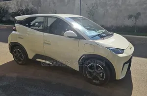 BYD Seagull 2025