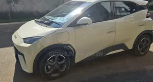 BYD Seagull 2025