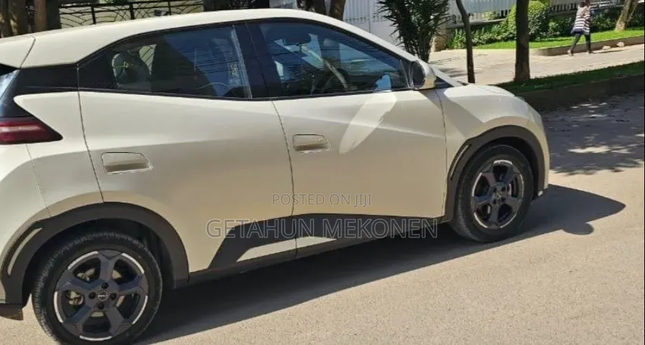 BYD Seagull 2025