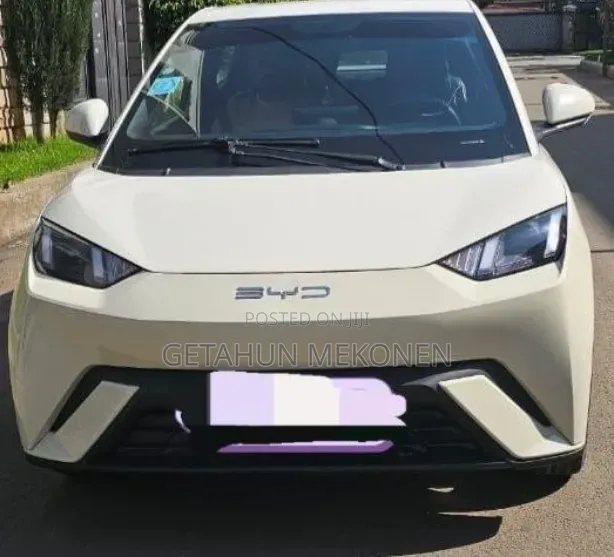 BYD Seagull 2025