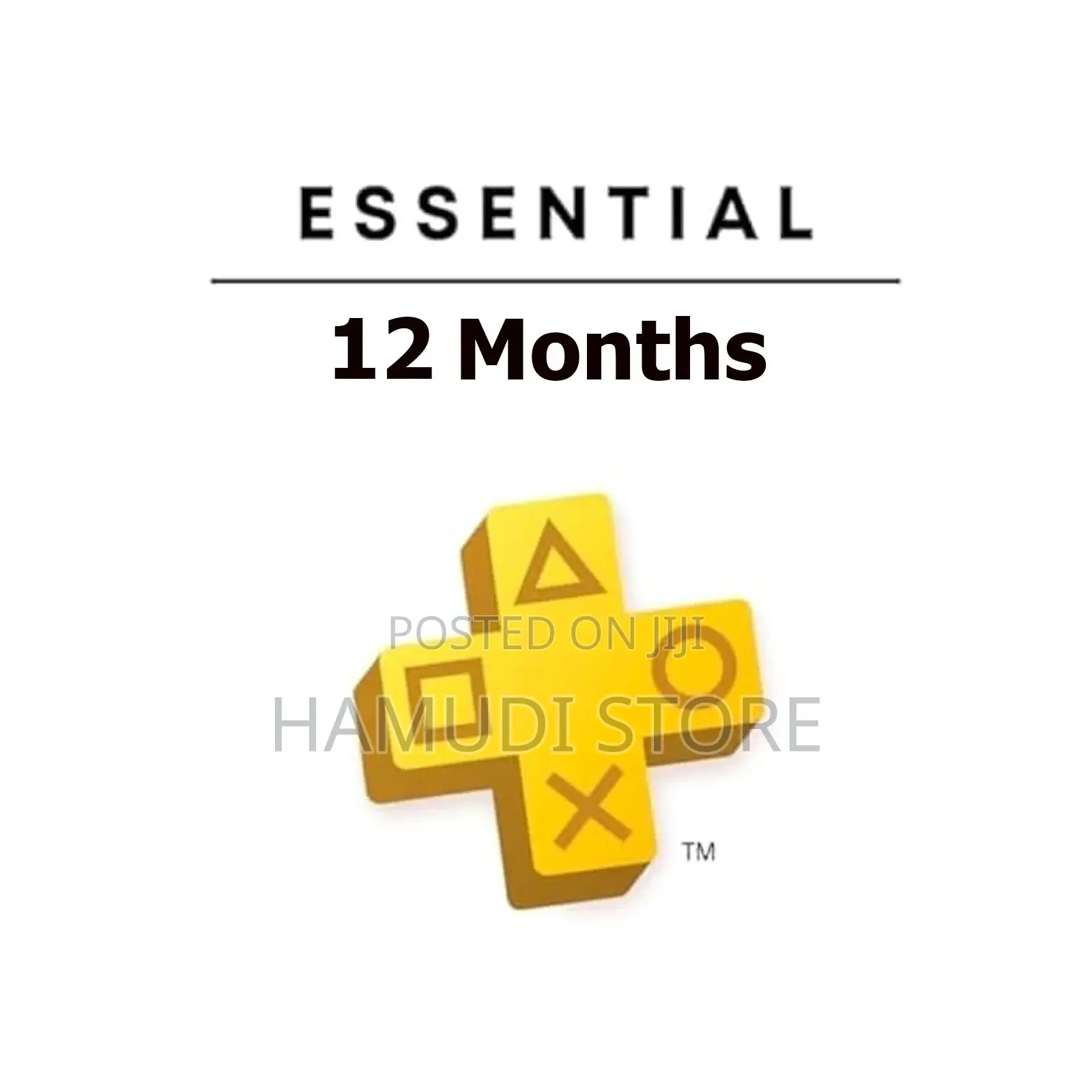 PlayStation Plus 12 Months