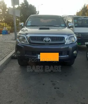 Toyota Hilux 2010 Gray