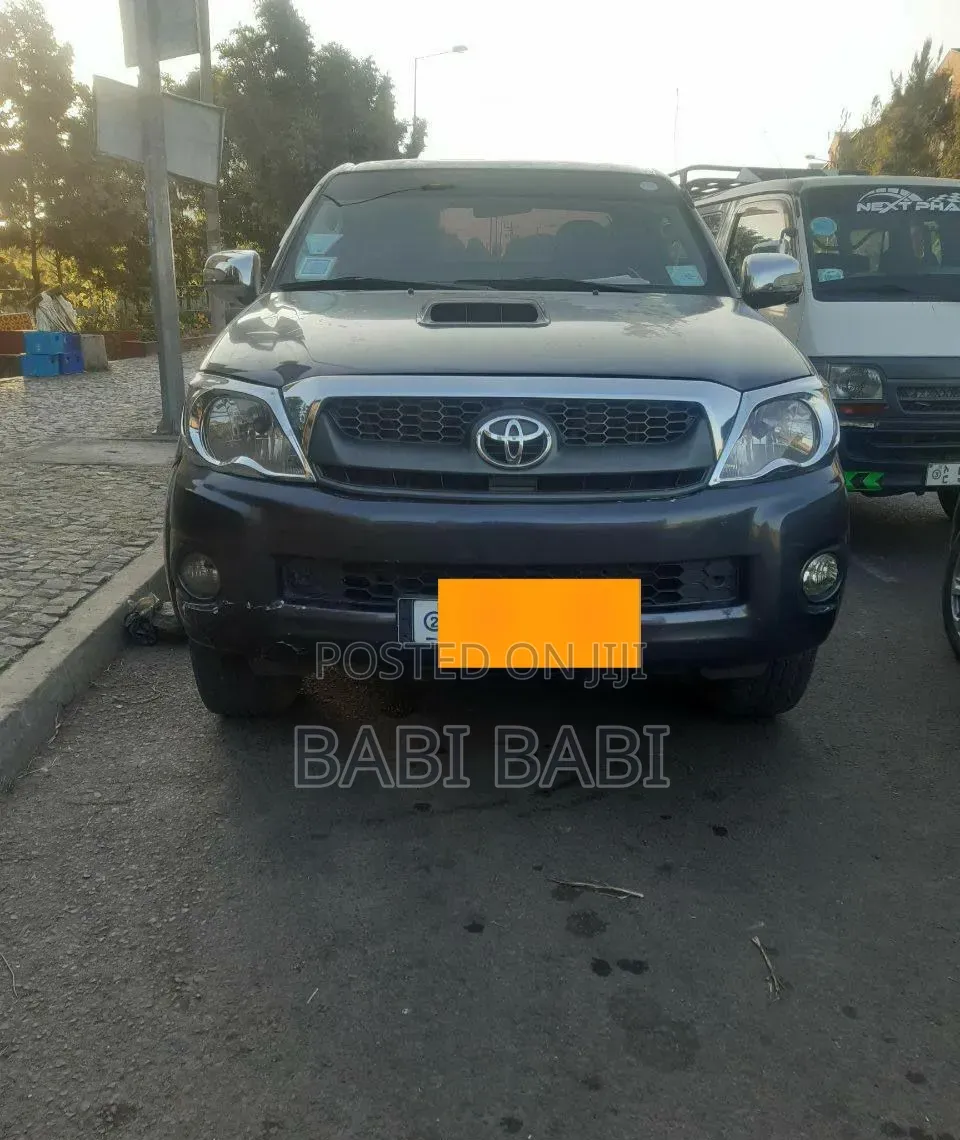 Toyota Hilux 2010 Gray