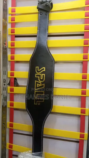 Weight Lifting Belt
