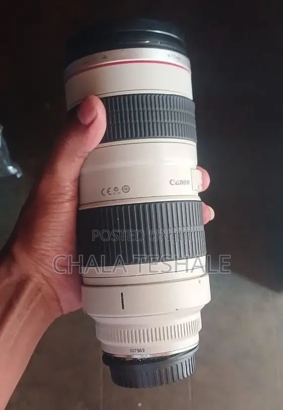 Zebra Lens 70-200 Mark 2