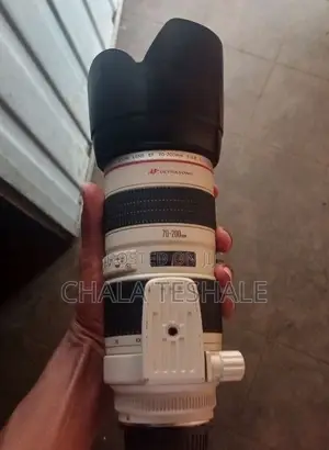 Zebra Lens 70-200 Mark 2