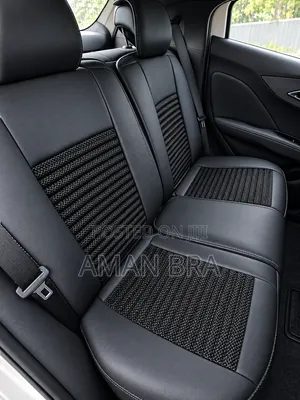 BYD Seat Covers